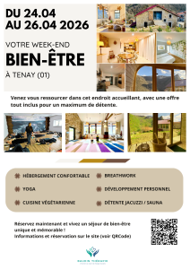 Flyer séjour bien-être tourisme moderne montage photos marron beige noir